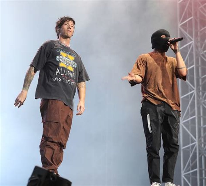 Image result for twenty one pilots performing