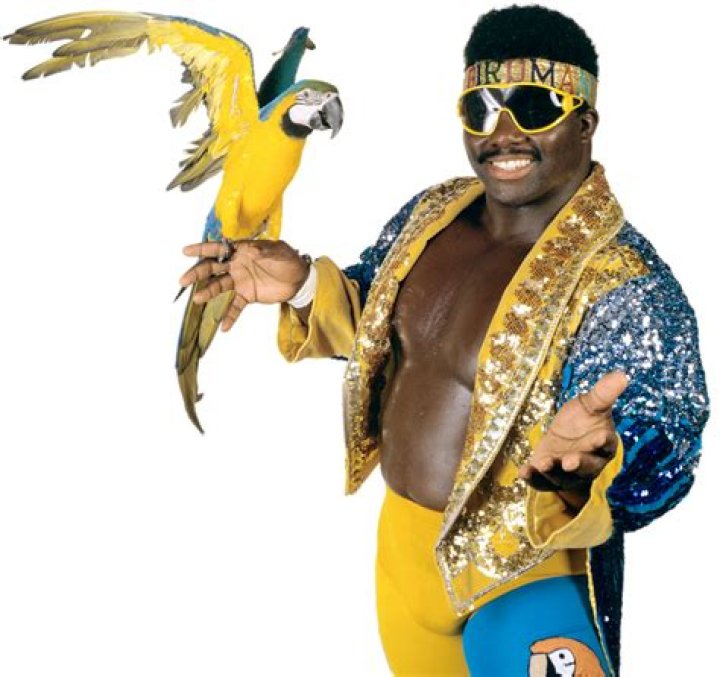 Koko B. Ware
