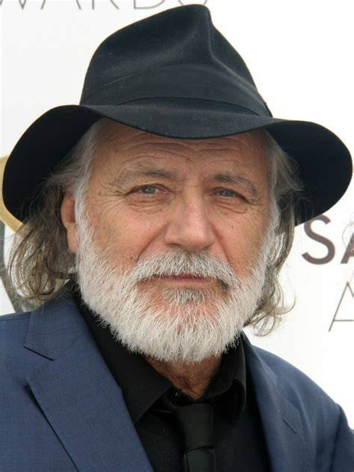 Rade Šerbedžija