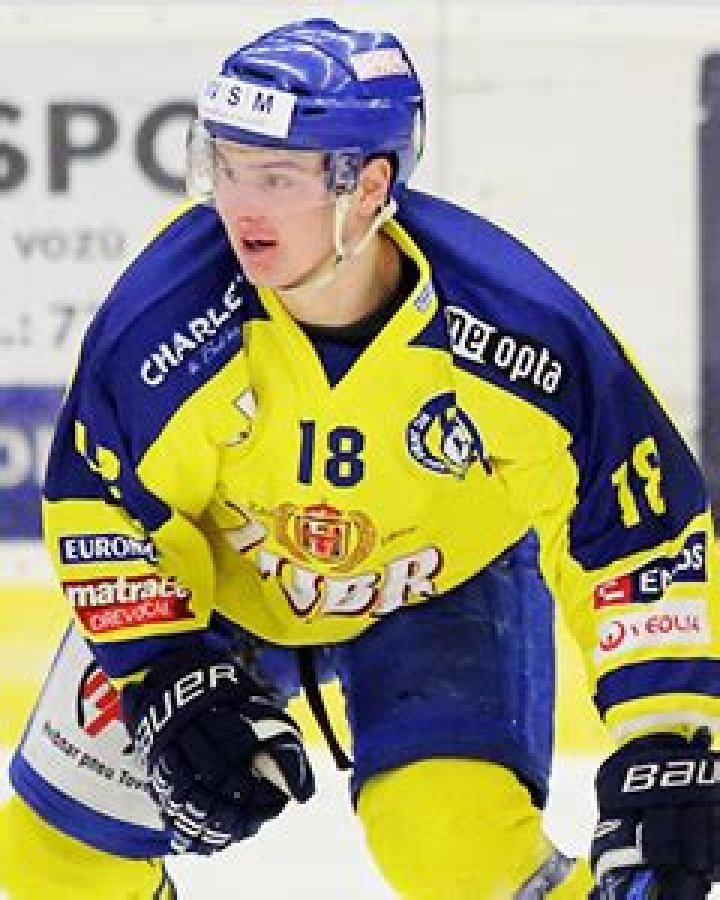 Rostislav Snajnar
