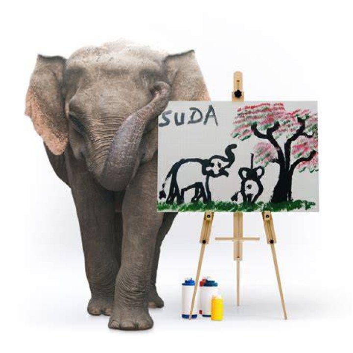 Suda