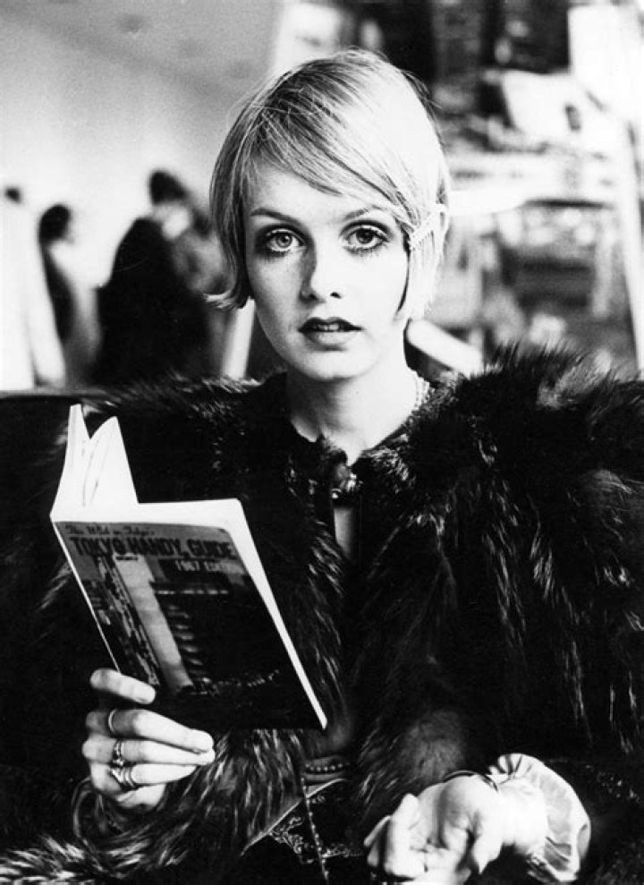 Twiggy Model